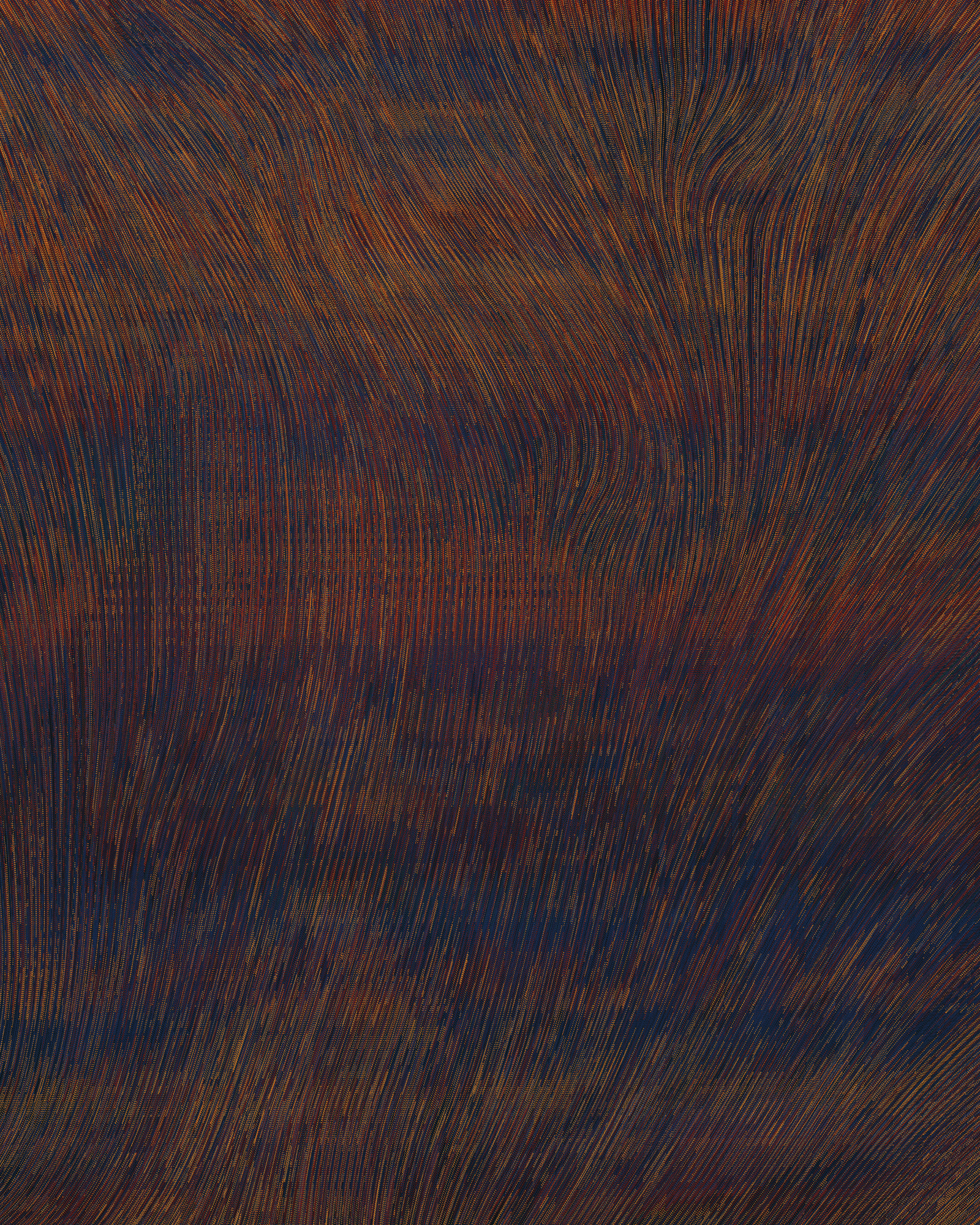 QQL #281 in “Wild”