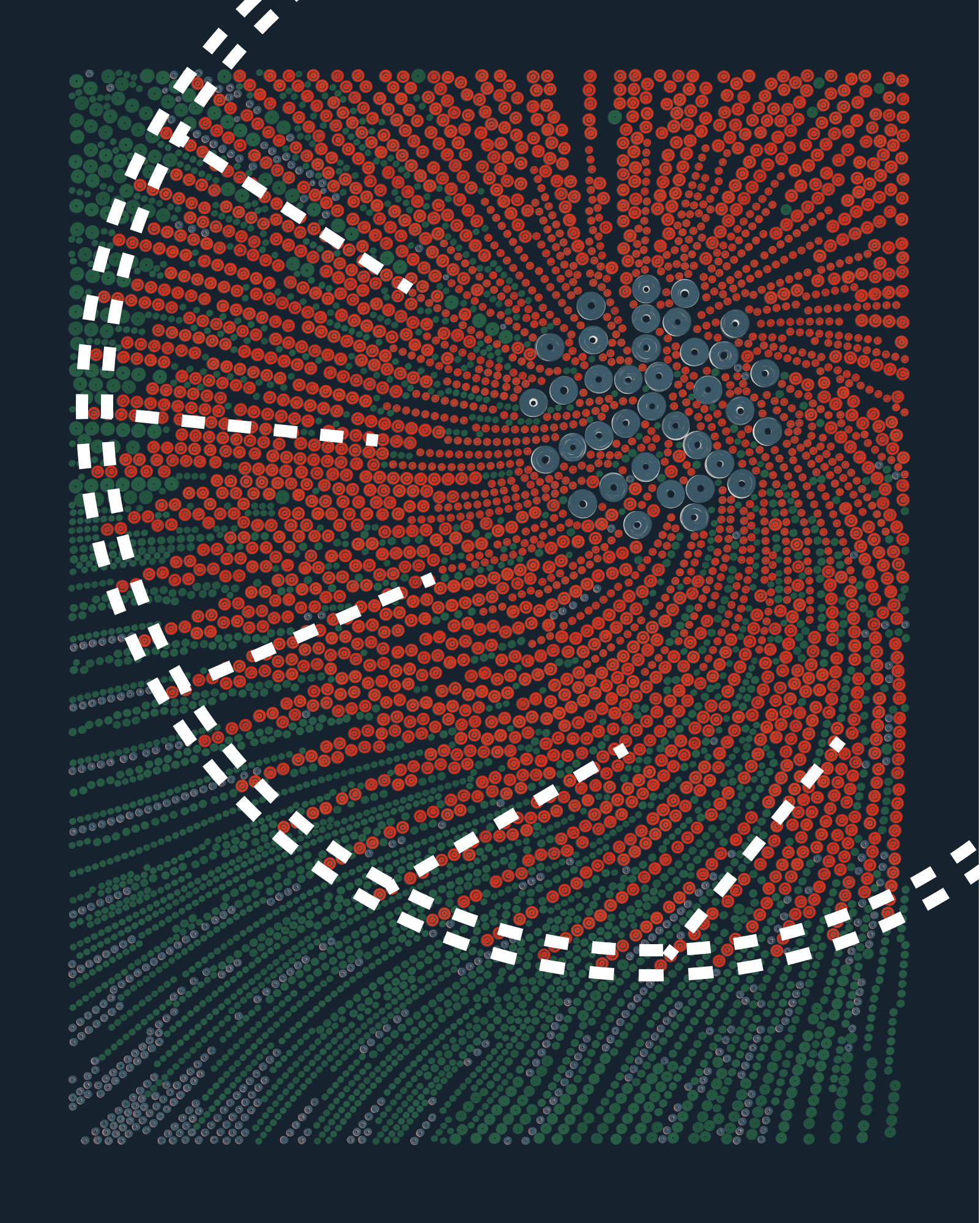 QQL #40 with Orbital structure indicating a group’s start area and the direction of the flow lines