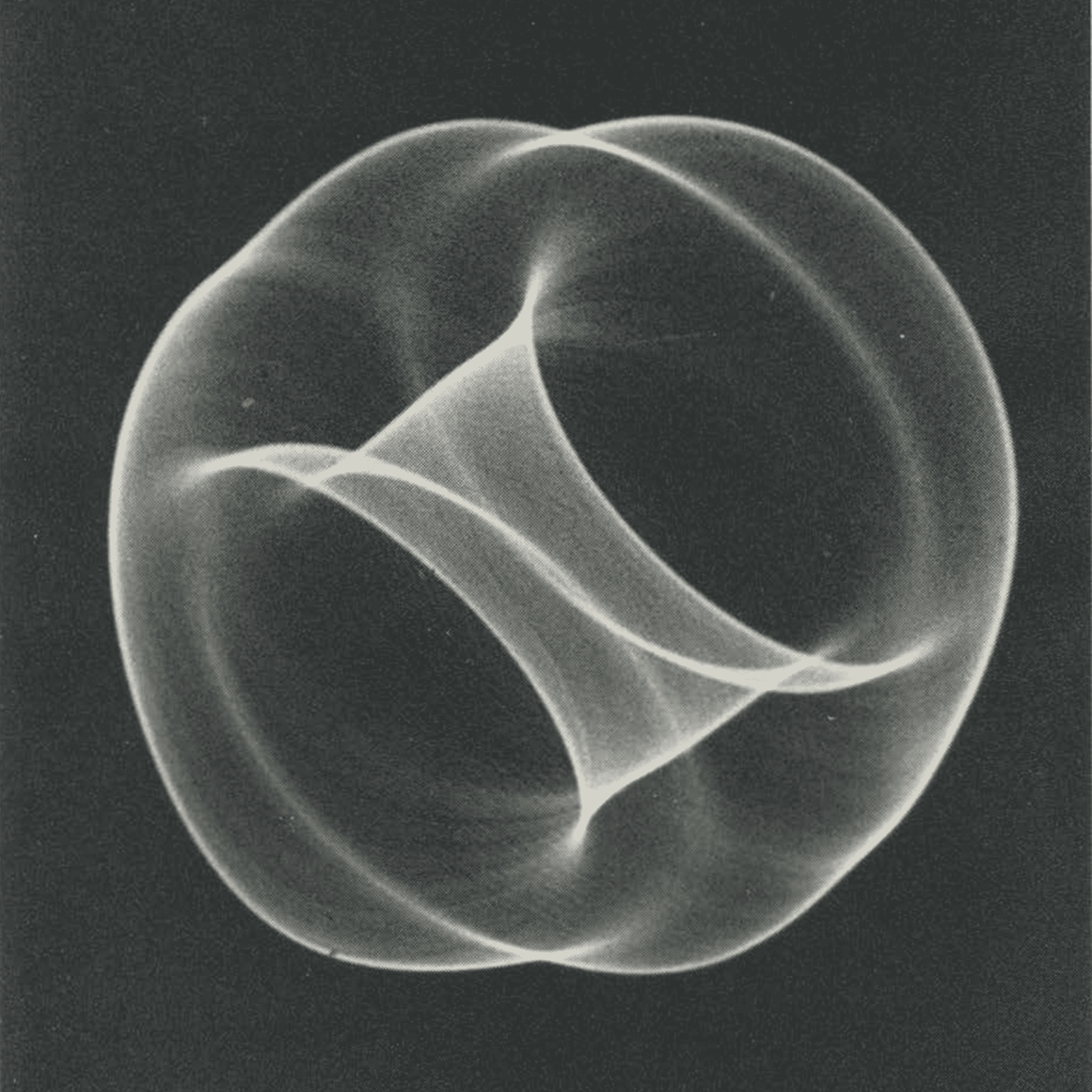 Ben F. Laposky, Oscillio 40, 1952.